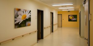 Fotodrucke - Asklepios Klinik Altona - Flur - Blumen