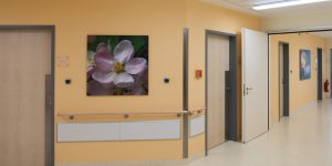 Fotodrucke - Asklepios Klinik Altona - Flur Geburtsstation - Blumen